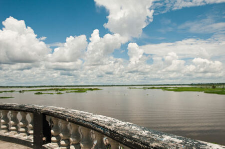 In My Element: Amazon Ayahuasca Adventure